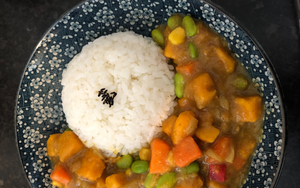 Japanese Vegetable Curry