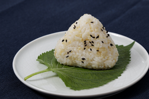 Golden Era Onigiri